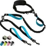 SparklyPets Hands Free Double Dog Leash  Dual Leash for Medium and Large Breeds  Lead for 2 Dogs with Padded Handles, Reflective Stitches, No Pull, Tangle Free