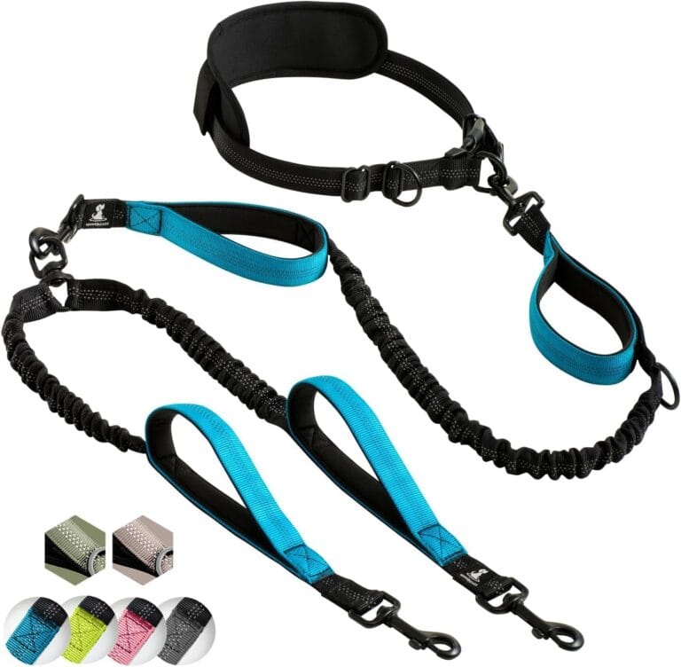 SparklyPets Hands Free Double Dog Leash  Dual Leash for Medium and Large Breeds  Lead for 2 Dogs with Padded Handles, Reflective Stitches, No Pull, Tangle Free