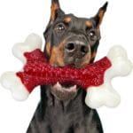 Tough Dog Toys, Toys for Aggressive Chewers Large Breed, Chew Dogs, Bone Toy Nylon Dogs Almost Indestructible