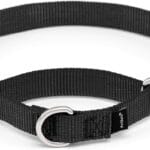 PetSafe Martingale Dog Collar with Quick Snap Buckle - No Pull Dog Collar for Walking Control - Gentle Correction - Durable Nylon Material - Adjustable No-Slip Collar - Black - Medium - 1 Inch Wide