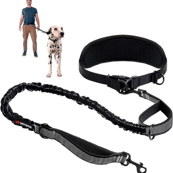 Tuff Pupper Heavy Duty Hands Free Dog Leash | One Large Dog Up to 125 lbs | Comfortable Shock Absorbing Bungee | Reflective Padded Handles | Lumbar Waist Belt 24-42" | Walking Jogging Running Leash