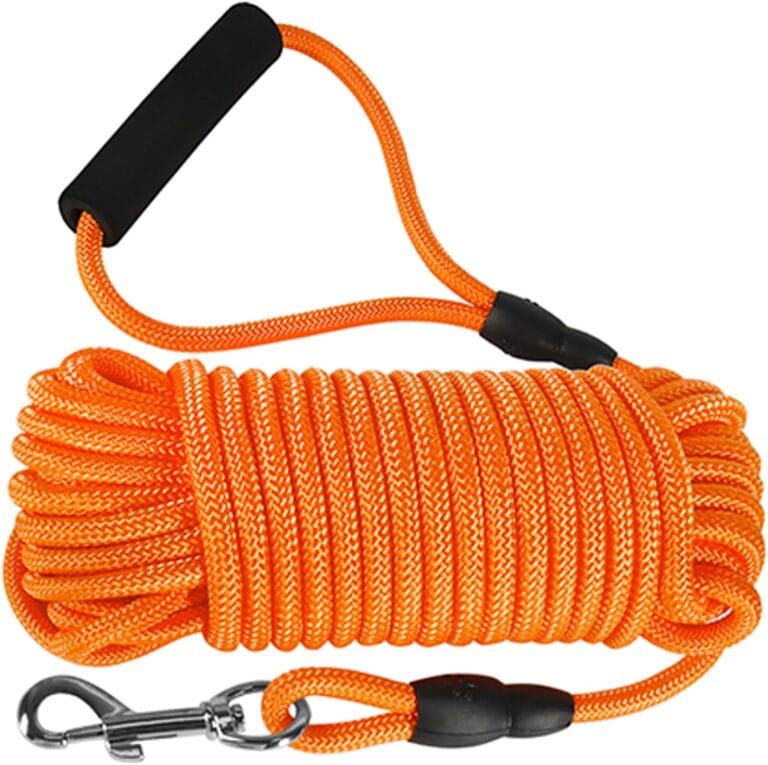 Vivifying Long Dog Leash, 32ft Floating Dog Training Leash, Check Cord Rope Lead with Comfortable Handle for Outside, Hiking, Swimming, Beach and Lake (Orange)