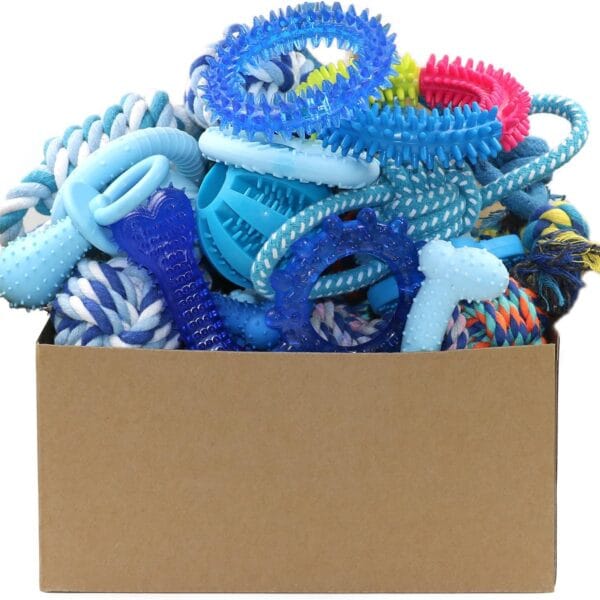 Beiker 20 Pack Puppy Chew Toys - Blue Dog Teething Toys for Puppies, Puppy Teething Rings and Ropes, Blue Rubber Toy Bundle for Small Dogs, Cute Interactive Dog Balls for Small Breed