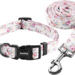 Ihoming Puppy Collar and Leash Set for Daily Outdoor Walking Running Training, Floral Sky Design for Extra Small Boys Girls Dogs Cats Pets, XS-Up to 10LBS