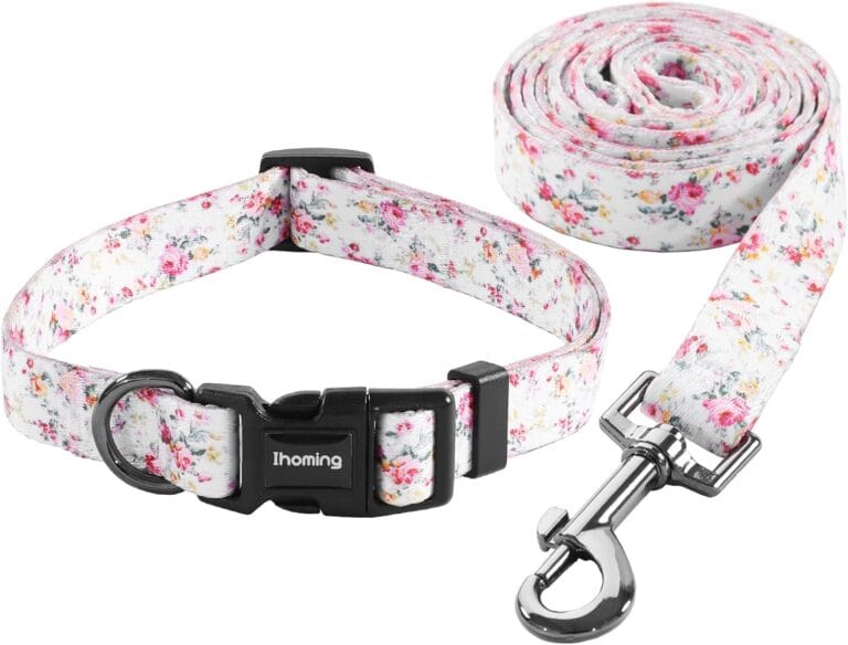 Ihoming Puppy Collar and Leash Set for Daily Outdoor Walking Running Training, Floral Sky Design for Extra Small Boys Girls Dogs Cats Pets, XS-Up to 10LBS