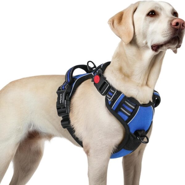 rabbitgoo Dog Harness for Large, No Pull Pet Harness with 3 Buckles, Adjustable Soft Padded Vest with Control Handle, Walking Reflective Pet Vest for Large Dogs, Blue, L