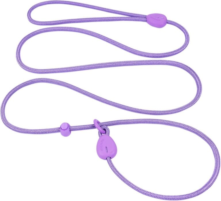 Purple 6FT No Pull Dog Training Leash - Lightweight Slip Lead for Small Medium Dogs