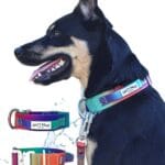 ONE Size ONLY (16.5" - 20") Adjustable Tactical Collar for Medium & Large Dogs, Heavy Duty Waterproof Dog Collar with Handle, No-Stink, No-Odor, Gradient Design - Strong, Durable, Easy Clean