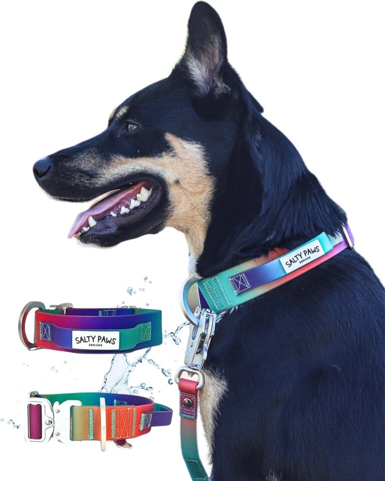 ONE Size ONLY (16.5" - 20") Adjustable Tactical Collar for Medium & Large Dogs, Heavy Duty Waterproof Dog Collar with Handle, No-Stink, No-Odor, Gradient Design - Strong, Durable, Easy Clean