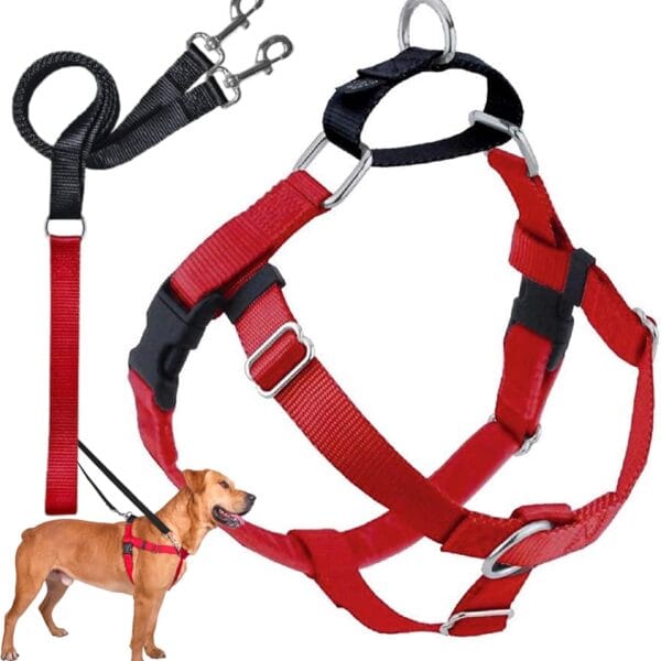 2 Hounds Design Freedom No Pull Dog Harness, Adjustable Harness and Leash Set, Easy Walking & Comfortable Control, Fits Small, Medium & Large Dogs, Solid Colors, Made in USA, 1" LG, Red