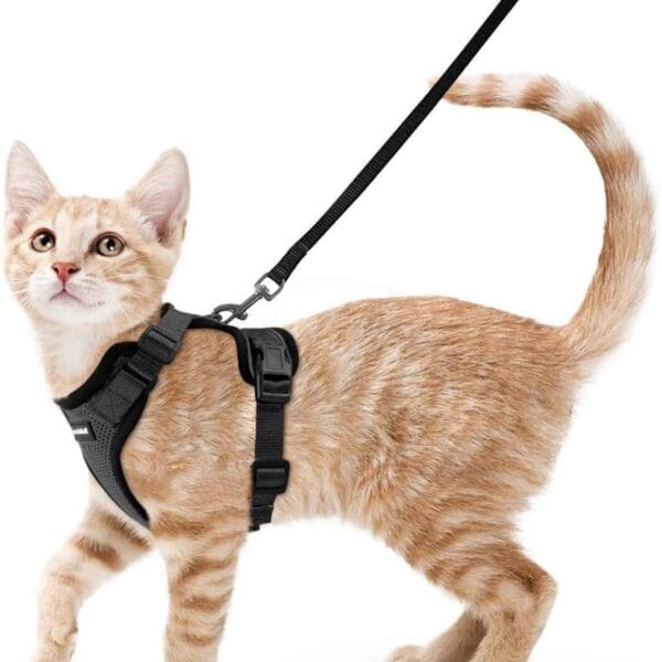 rabbitgoo Cat Harness and Leash for Walking, Escape Proof Soft Adjustable Vest Harnesses for Cats, Easy Control Breathable Reflective Strips Jacket, Black, XS