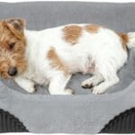 Washable Orthopedic Dog Bed - Soft Calming Pet Cuddler with Anti-Slip Bottom, Durable Plush Puppy Bed for Sleeping and Resting, Medium(25"x21"x7")