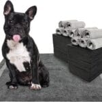 Charcoal Dog Training Pads 100 Count, 22"x22" Puppy Pee Pads for Small Dogs, Activated Carbon Dog Pee Pads, Disposable Puppy Pads Pet Training Pads