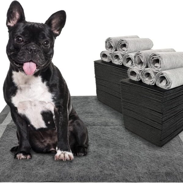 Charcoal Dog Training Pads 100 Count, 22"x22" Puppy Pee Pads for Small Dogs, Activated Carbon Dog Pee Pads, Disposable Puppy Pads Pet Training Pads