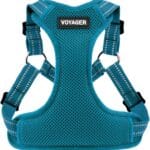 Best Pet Supplies Voyager Mesh Dog Breathable Harness Reflective Stitching, All Weather Adjustable for Walking Training, or Running - Heavy Duty & Durable, Harness (Turquoise), M