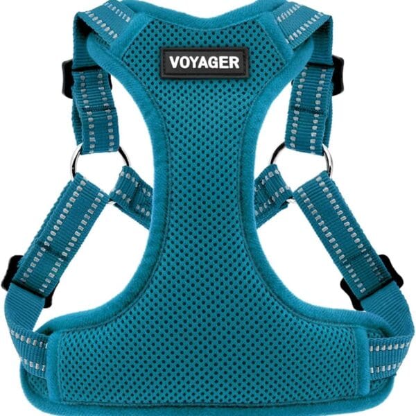 Best Pet Supplies Voyager Mesh Dog Breathable Harness Reflective Stitching, All Weather Adjustable for Walking Training, or Running - Heavy Duty & Durable, Harness (Turquoise), M