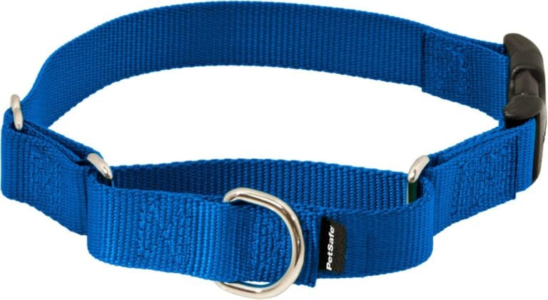 PetSafe Martingale Collar with Quick Snap Buckle - Humane Gentle Correction for Safer Walks - Adjustable No-Slip Design - Durable Nylon Material - Medium - Royal Blue