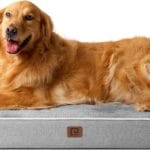 EHEYCIGA Waterproof Dog Bed Memory Foam 47x29, Orthopedic Dog Beds Mat for Extra Large Dogs with Removable Cover, Grey