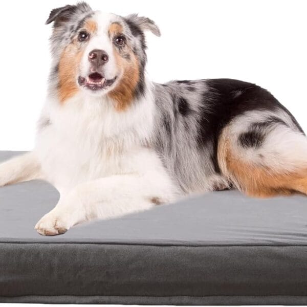Orthopedic Memory Foam Dog Bed, Cooling Dog Beds Waterproof Pet Bed for Crate with Removable Washable Cover, L(35inch,65Lbs)