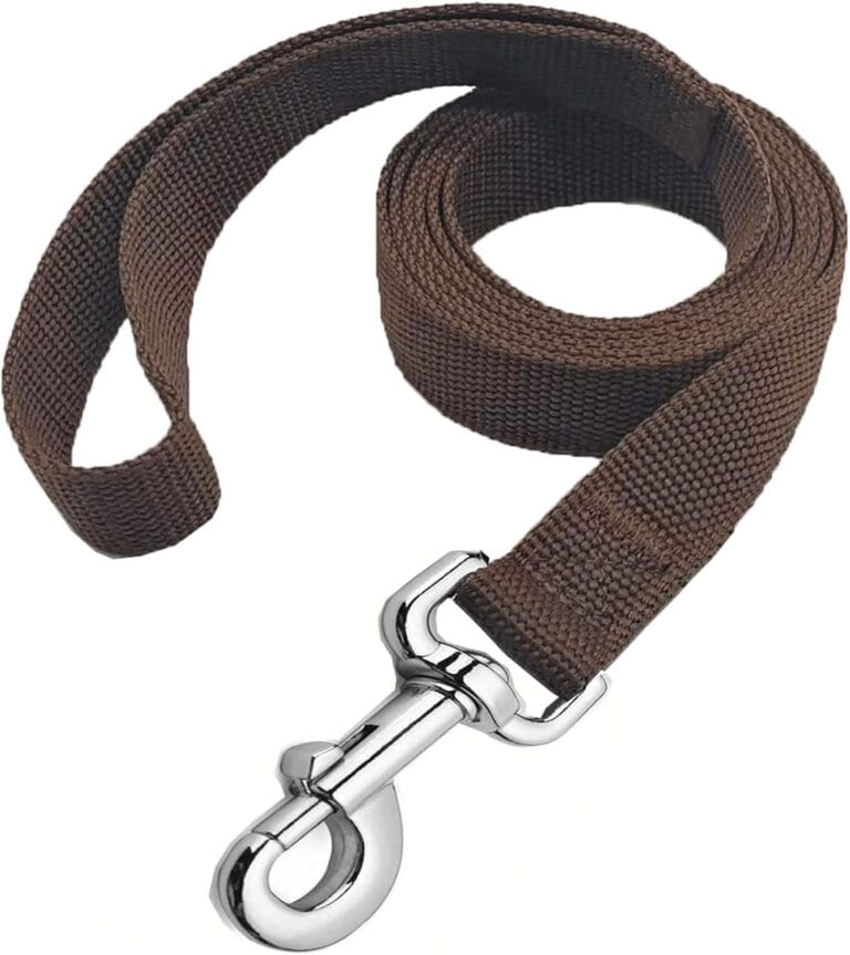 Strong Nylon Dog Leash, 4FT/ 5 FT/ 6FT Dog Leashes for Medium Large Dogs (6FT, Brown)