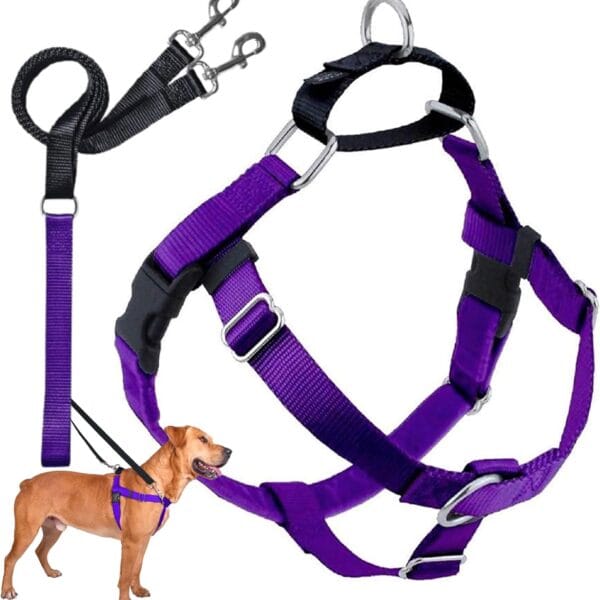 2 Hounds Design Freedom No Pull Dog Harness, Adjustable Harness and Leash Set, Easy Walking & Comfortable Control, Fits Small, Medium & Large Dogs, Solid Colors, Made in USA, 1" MD, Purple