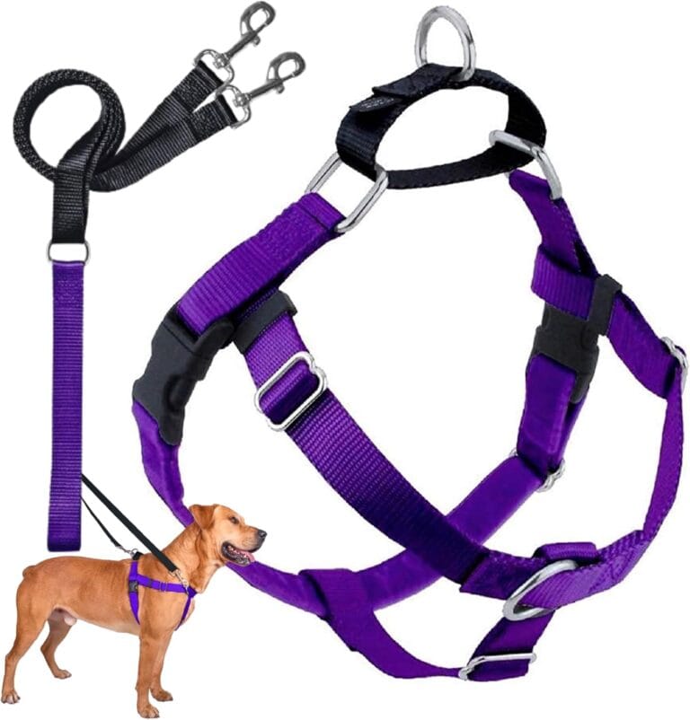 2 Hounds Design Freedom No Pull Dog Harness, Adjustable Harness and Leash Set, Easy Walking & Comfortable Control, Fits Small, Medium & Large Dogs, Solid Colors, Made in USA, 1" MD, Purple