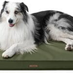 LE SURE Outdoor Waterproof Dog Beds Large Sized Dog, Orthopedic Egg Crate Foam Pet Bed with Oxford Fabric Surface and Removable Washable Cover, Pet Mat 36''x27'', Green