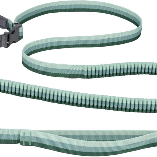 Ruffwear, Roamer Bungee Dog Leash for Running, Biking or Hiking, Can be Used Hand-Held or Hands-Free, River Rock Green, 5.5'-7'