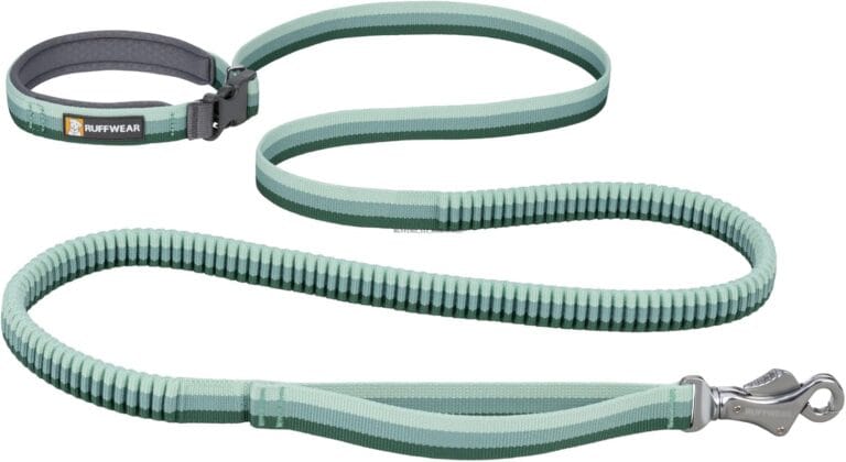 Ruffwear, Roamer Bungee Dog Leash for Running, Biking or Hiking, Can be Used Hand-Held or Hands-Free, River Rock Green, 5.5'-7'