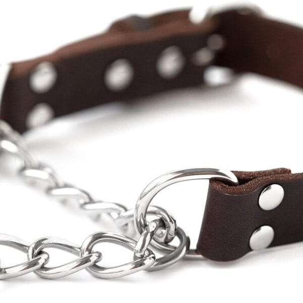 Mighty Paw Martingale Dog Collar - No Pull Design - Stainless Steel Chain - Limited Chain Cinch Training - Brown Leather Martingale Training Collar - Large Size