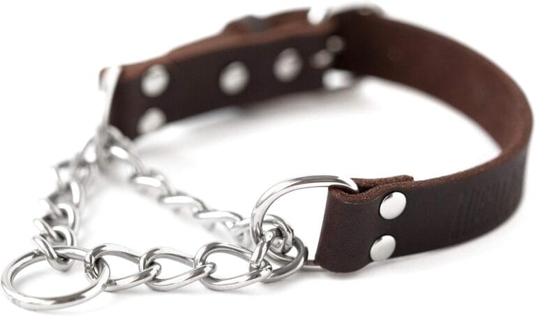 Mighty Paw Martingale Dog Collar - No Pull Design - Stainless Steel Chain - Limited Chain Cinch Training - Brown Leather Martingale Training Collar - Large Size