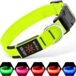 Illumifun LED Dog Collar, Light Up Dog Collar Rechargeable Glow in Dark Pet Collar Safety Dog Lights for Night Walking Camping (Green, Large)