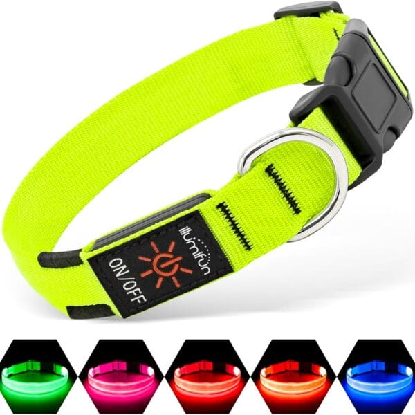 Illumifun LED Dog Collar, Light Up Dog Collar Rechargeable Glow in Dark Pet Collar Safety Dog Lights for Night Walking Camping (Green, Large)