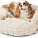 EHEYCIGA Small Dog Bed and Cat Couch for Puppy and Kitten - Fluffy Faux Rabbit Fur Pet Sofa with Washable Removable Cover, Waterproof and Non-Slip, 23 Inch Cream