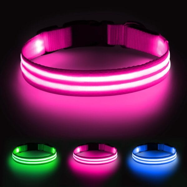 Illumifun Lighted Dog Collars for Night, USB Rechargeable Light Up Dog Collar, Water-Resistant LED Dog Collar Glow in The Dark (Pink, Medium)