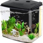 AQUANEAT Fish Tank, 1.2 Gallon Aquarium, Small Betta Fish Tank Starter Kit with LED Light and Water Filter Pump, Rectangular