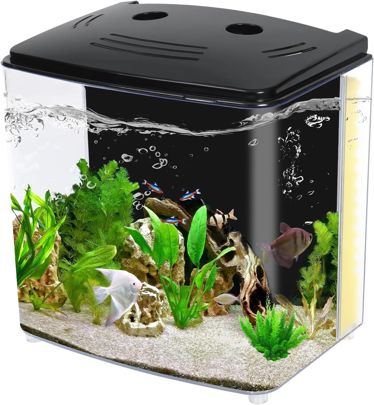 AQUANEAT Fish Tank, 1.2 Gallon Aquarium, Small Betta Fish Tank Starter Kit With LED Light And Water Filter Pump, Rectangular AQUANEAT Fish Tank, 1.2 Gallon Aquarium, Small Betta Fish Tank Starter Kit with LED Light and Water Filter Pump, Rectangular