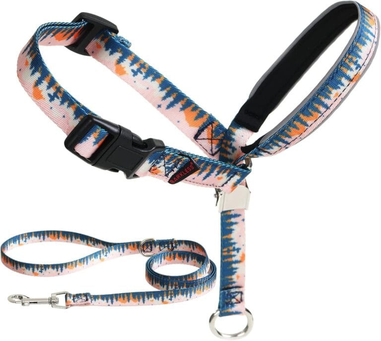 BARKLESS Dog Head Collar, Anti-Pulling Printed Head Halter with Leash, Gentle Snout Harness with Adjustable Clip for Small and Medium Dogs, Perfect for Training Leash-Reactive Pullers