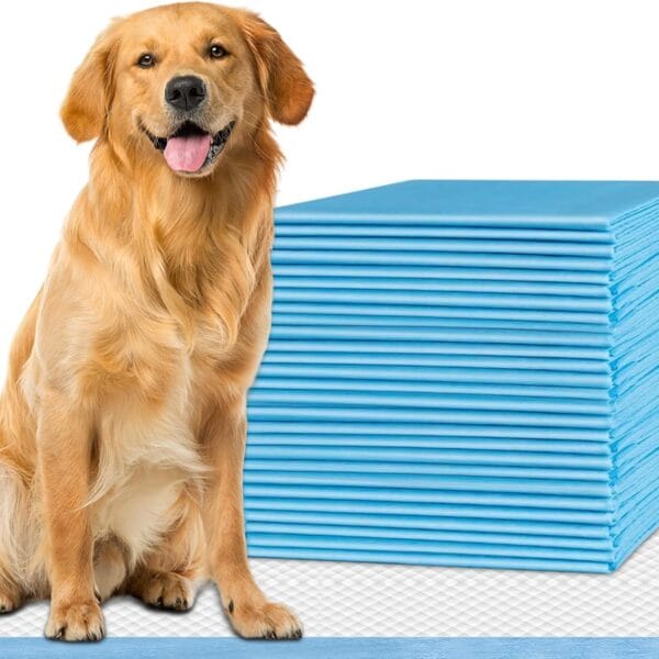 Healqu Puppy Pads - 50-Count, 24x24 - Advanced Leakproof Technology for Housebreaking & Training - Ultra Absorbent Puppy Pee Pads - Ideal for Dogs, Puppies, Cats - Attractant Pet Training Pads