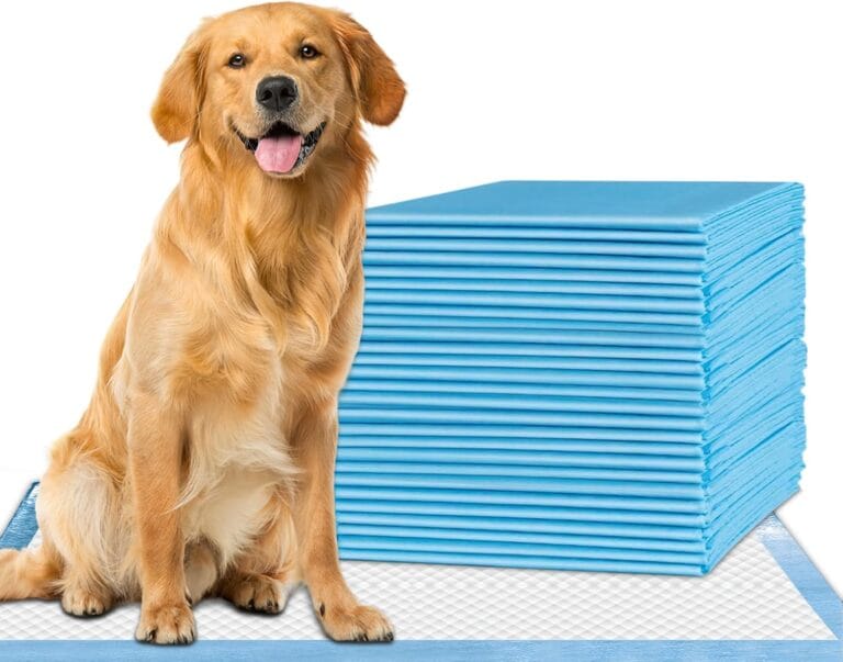 Healqu Puppy Pads - 50-Count, 24x24 - Advanced Leakproof Technology for Housebreaking & Training - Ultra Absorbent Puppy Pee Pads - Ideal for Dogs, Puppies, Cats - Attractant Pet Training Pads