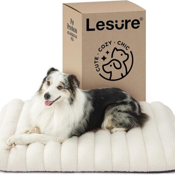LE SURE Cute Orthopedic Dog Bed Large Sized Dog, Waterproof Chic Flat Pet Beds with Removable Washable Cover, Fuzzy Thick Egg Crate Foam Pet Mat for Indoor Use (36" x 27", Cream)