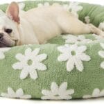 LE SURE Donut Medium Dog Bed - Round Cat Beds for Indoor Cats Calming Pet Beds, Cute Modern Beds with Jacquard Shaggy Plush & Anti Slip Bottom, 30 Inch, Green