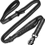 Heavy Duty Dog Leash, 4-6FT Shock Absorbing Dog Leashes with Traffic Handle and Comfortable Padded Handles, Advanced Easy Metal Clip, No Pull Reflective Leash for Medium Large Dogs That Pull (Black)