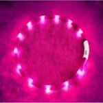 LED Dog Collar,USB Rechargeable Glowing Dog Collars, Light Up Collar Improved Pet Safety &Visibility at Night, 3 Flashing Modes,Water-Resistant LED Lighted Fits for Small Medium Large Dogs