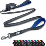Black Rhino Heavy Duty Dog Leash for Medium and Large Dogs - 6 ft Long Double Handle Leash with Padded Traffic Control Handles and Bag for Comfort - Reflective, Durable, and Weather Resistant (Blue)