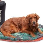 Furhaven Outdoor Travel Dog Bed for Large/Medium Dogs w/ Carry Bag, Washable & Foldable, Great for Crates & Kennels - Trail Pup Travel Pillow Mat w/ Stuff Sack Bag - Paprika/Camo-Paw, Large