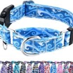 Reflective Martingale Collar with Quick Release Buckle Anti Pulling Boy Male Adjustable Dog Collars (Blue Waves, Medium)