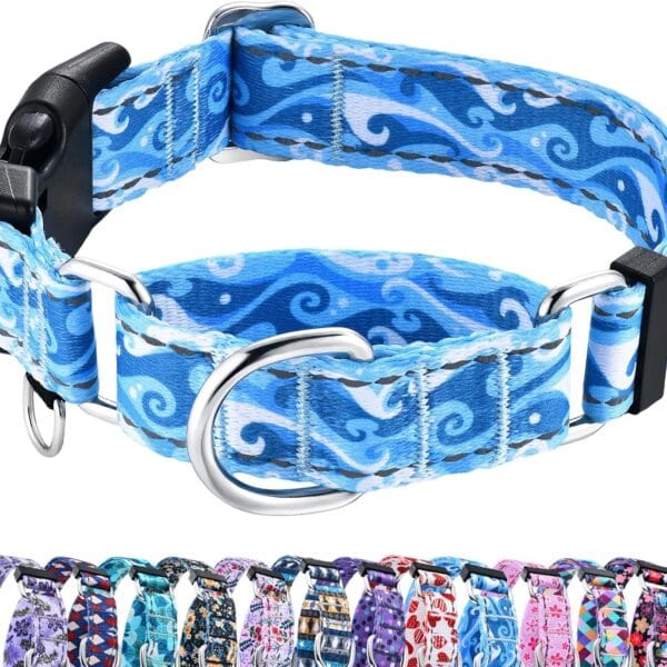 Reflective Martingale Collar with Quick Release Buckle Anti Pulling Boy Male Adjustable Dog Collars (Blue Waves, Medium)