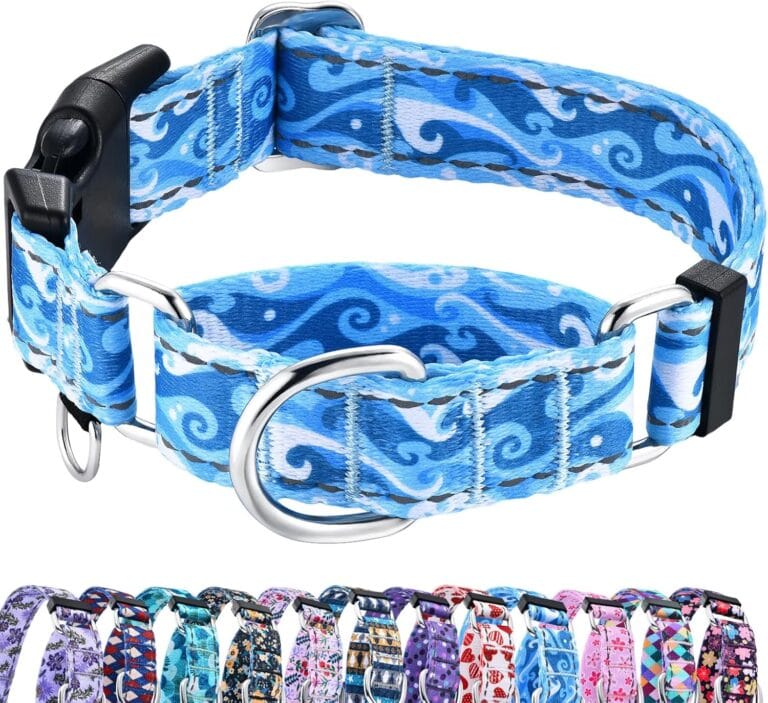 Reflective Martingale Collar with Quick Release Buckle Anti Pulling Boy Male Adjustable Dog Collars (Blue Waves, Medium)