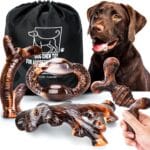 Dog Chew Toys for Aggressive Chewers 4 Pack, Indestructible Dog Toys, Bacon Flavor, Tough Nylon Bones to Keep Them Busy, Medium & Large Breed, Gifts for Dogs